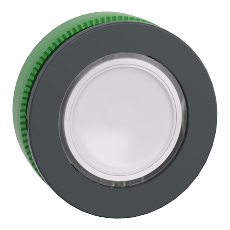 Push Button Operator, Flush, Maintained Action, Push Release, White MPN:ZB5FA18