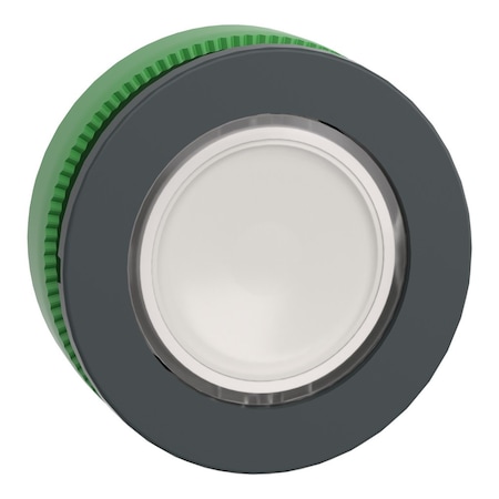 Head for illuminated push button, Harmony XB5, antimicrobial, plastic, white, 30mm, universal LED, plain lens MPN:ZB5FW313