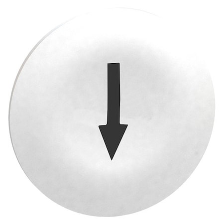 Push Button Head, Marked, 22mm, White MPN:ZBA7134