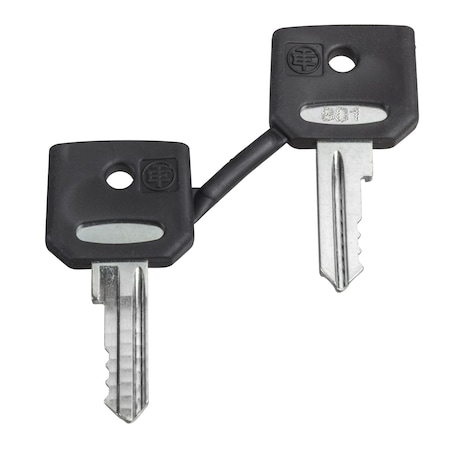 Key, Harmony XB4, Set of 2 keys, key 455 with one booted MPN:ZBG455P