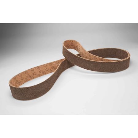 Surface Condition Belt, 1/2