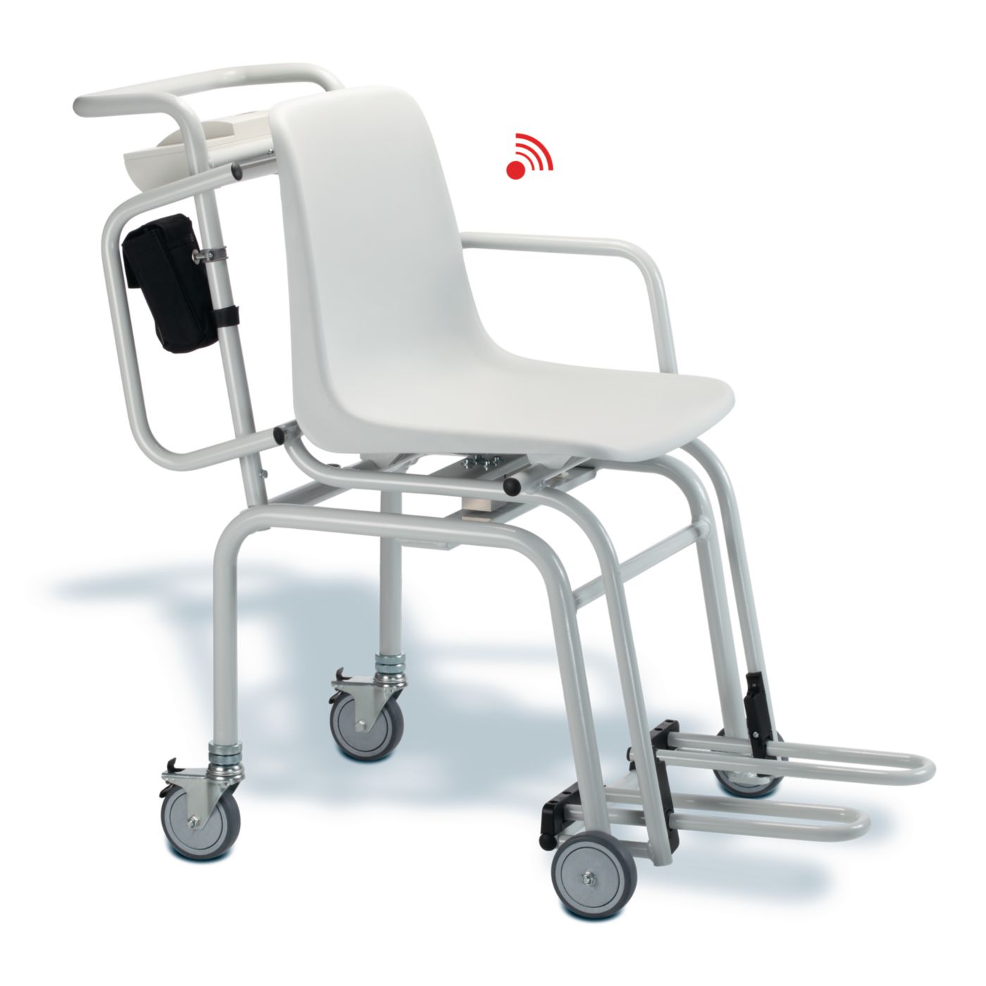 Example of GoVets Chair Scales category