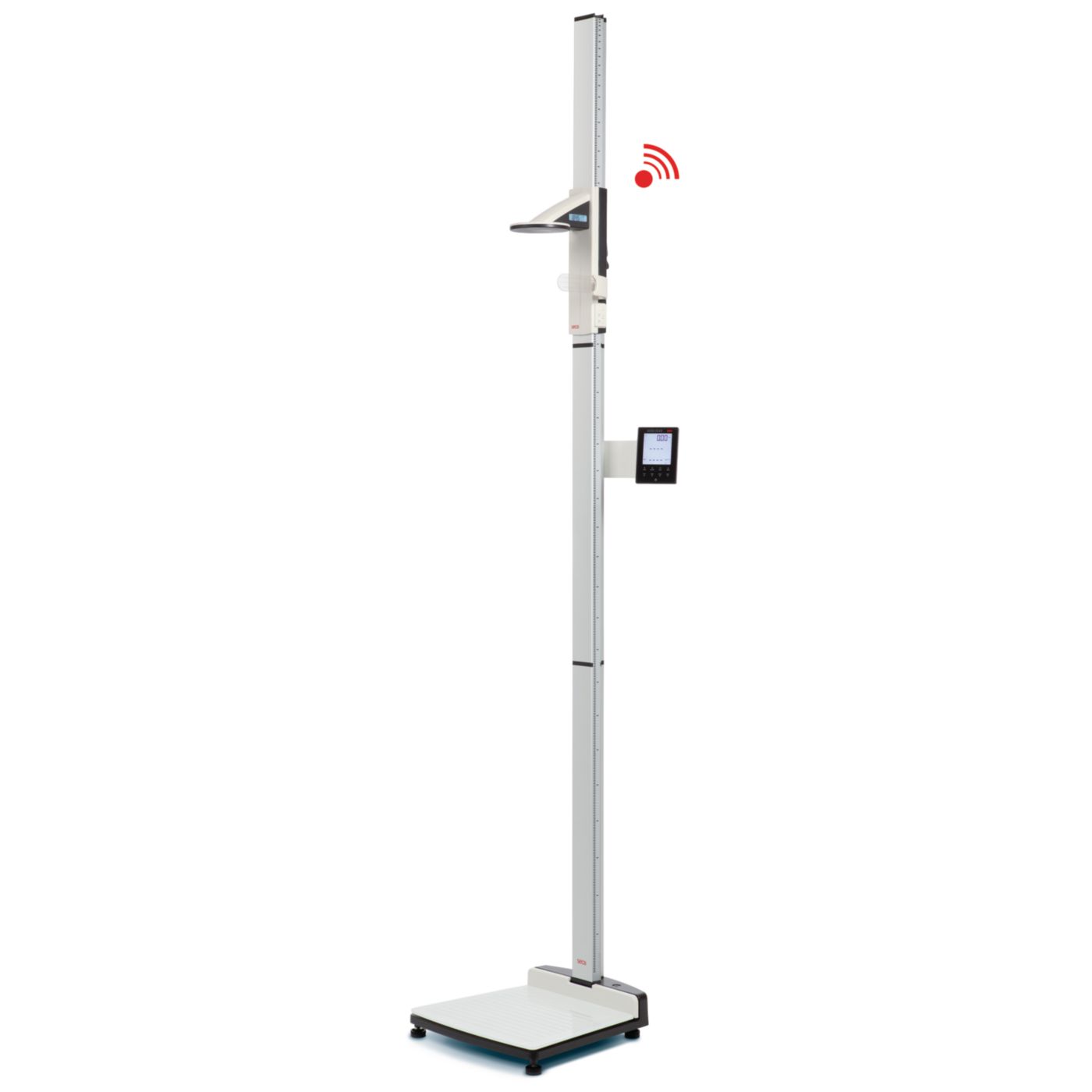 Example of GoVets Digital Column Scales category