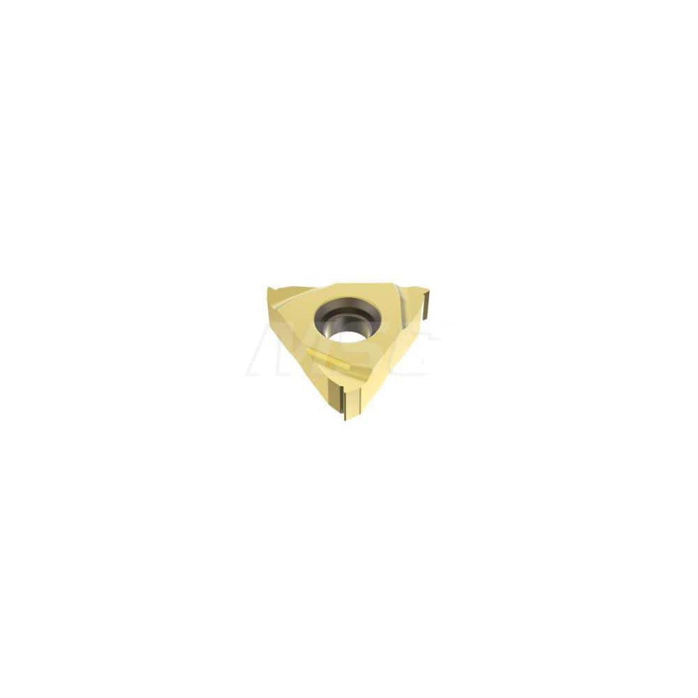 Laydown Threading Insert: 16ER1.0ISO-A CP500, Solid Carbide MPN:02444875