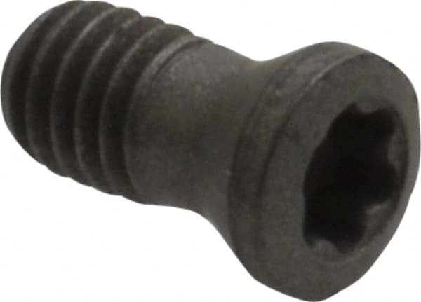 Lock Screw for Indexables: TP9, Torx Plus Drive, M3 Thread MPN:02434334