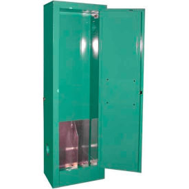 Securall® 2 D & E Cylinder Vertical Medical Gas Cabinet 14