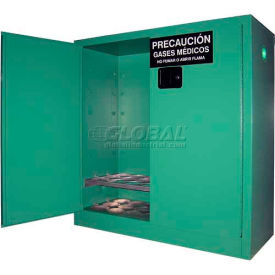 Securall® 24 D & E Cylinder Vertical Medical Fire Lined Gas Cabinet 43