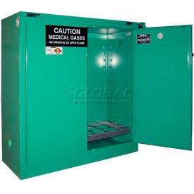 Securall® 24 D & E Cylinder Vertical Medical Fire Lined Gas Cabinet 43
