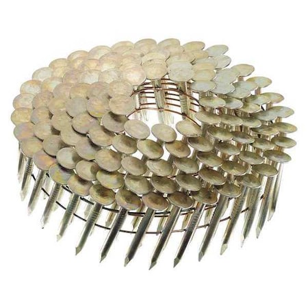 Collated Siding Nail, 3/4 in L, 11 ga, Electro Galvanized, Flat Head, 15 Degrees, 7200 PK MPN:M003106