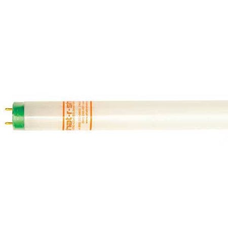 Fluorescent, 24