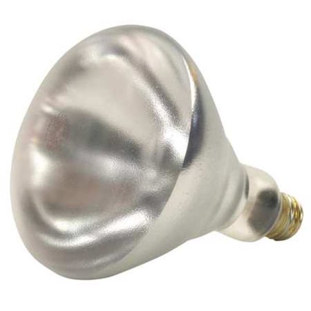 SHAT-R-SHIELD 250W, R40 Incandescent Light Bulb MPN:250BR40/1