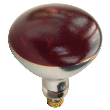 SHAT-R-SHIELD 250W, R40 Incandescent Heat Light Bulb MPN:250R40/HT/RED