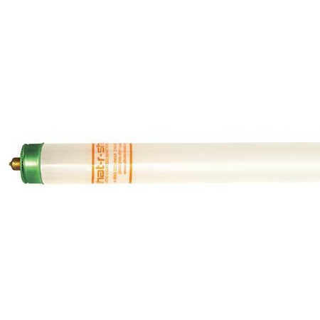 Fluorescent, 8', 59W, T8, 5000K, PK25 MPN:43428