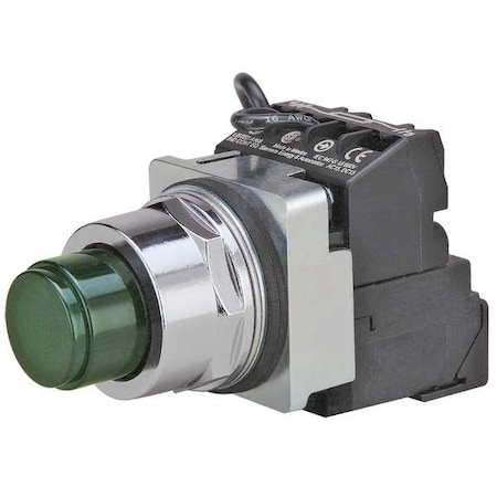 Illuminated Push Button, 30 mm, 1NO/1NC, Green MPN:52PT6G3AB