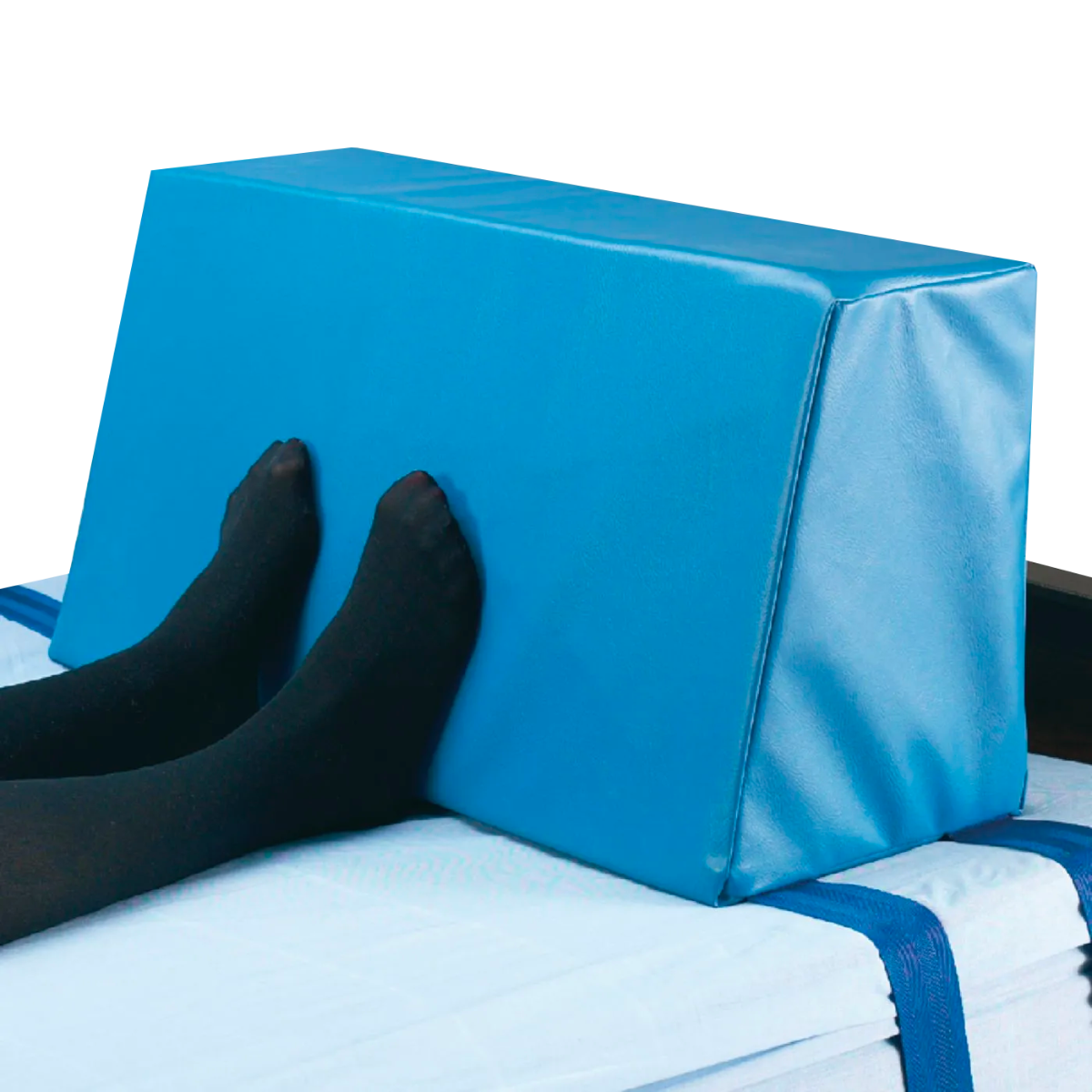 Example of GoVets Skil Care category