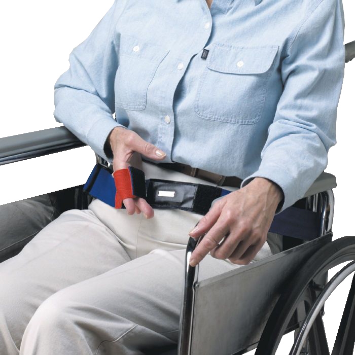 Example of GoVets Seat Belt category