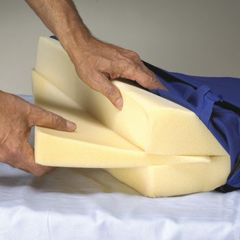 Example of GoVets Specialty Pillow category