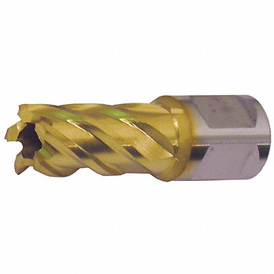 Example of GoVets Slugger by Fein brand