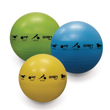 Example of GoVets Burst Resistant Ball category