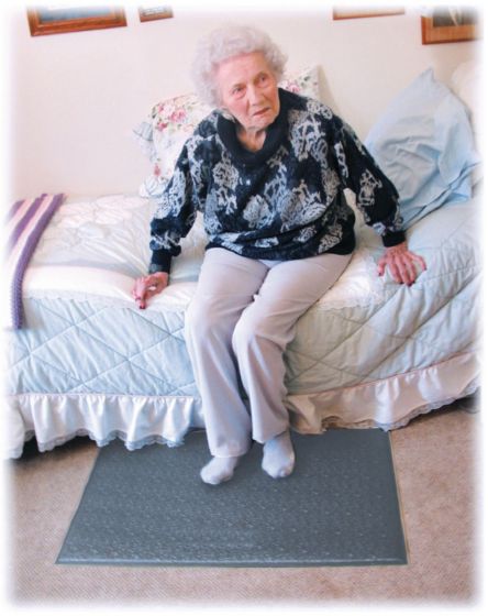 Example of GoVets Smart Caregiver category