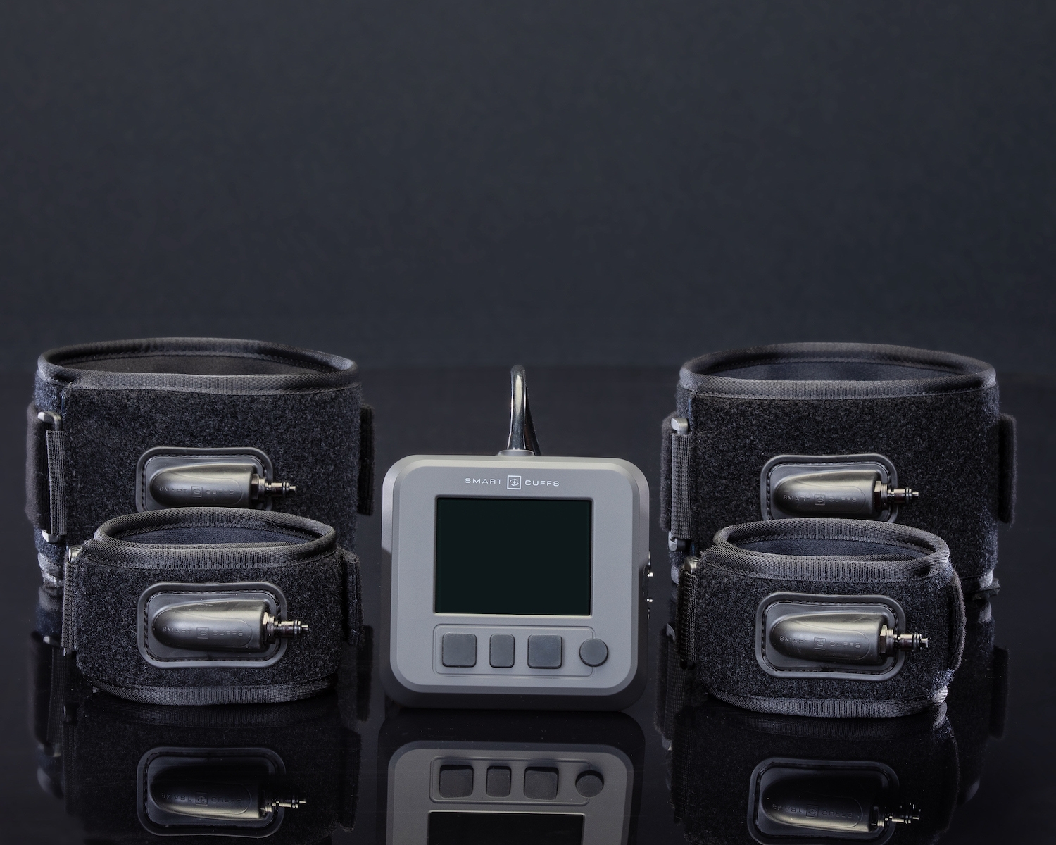 Example of GoVets Smartcuffs category