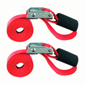 Snap-Loc® Cam Tie-Down Cinch Strap 1500 lb. Capacity 1