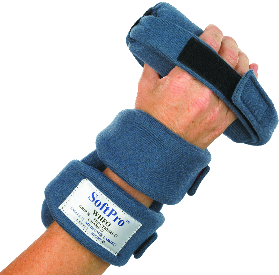 Example of GoVets Softpro category