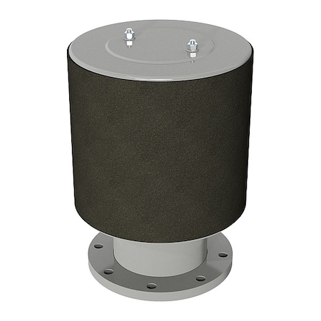 Intake Exposed Filter, 8