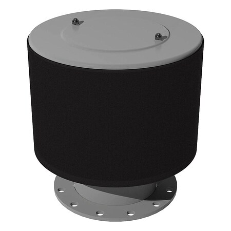 Intake Exposed Filter, 10