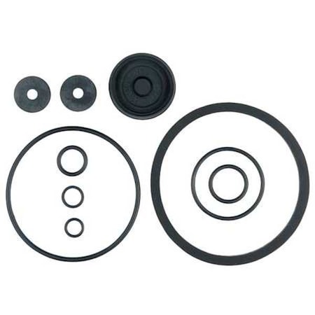 Piston Pump Repair Kit, Viton MPN:0610407K
