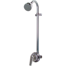 Speakman S-1496-AF Sentinel Mark II Regency Exposed Anti Scald Balanced Pressure Shower S-1496-AF