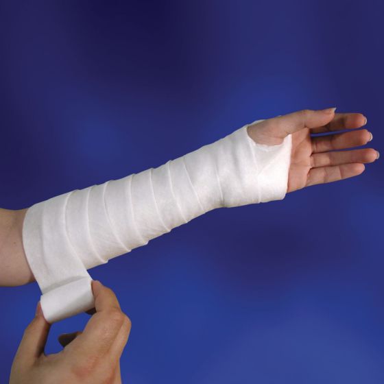 Example of GoVets Cotton Liners category