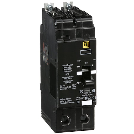 Miniature Circuit Breaker, E FRAME Series, 100A, 2 Pole, 277/480V AC, 65kA at 120V AC MPN:EGB24100