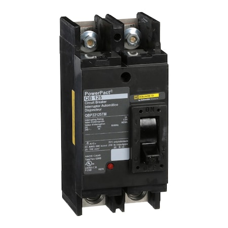 Molded Case Circuit Breaker, POWERPACT Q Series, 125A, 2 Pole, 240V AC, 10kA at 240V AC MPN:QBP22125TM