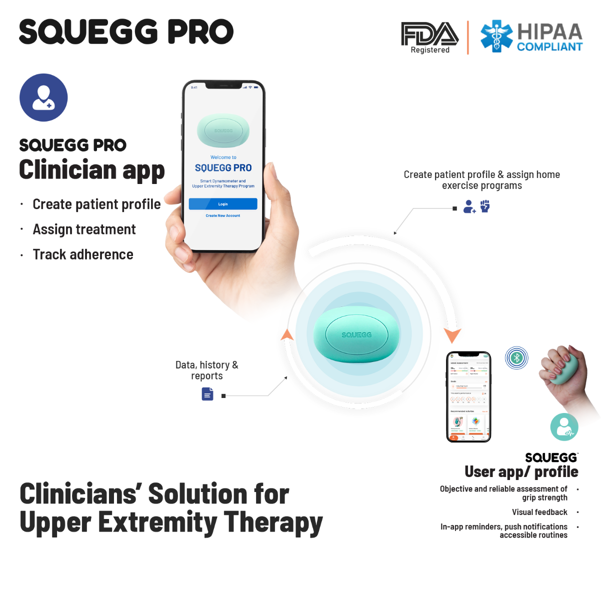 Example of GoVets Squegg brand