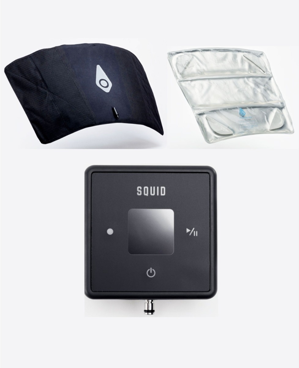 Example of GoVets Squid brand