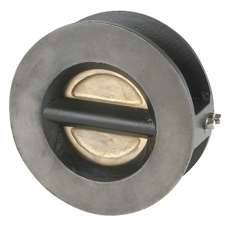 Double Disc Check Valve, SS, 10