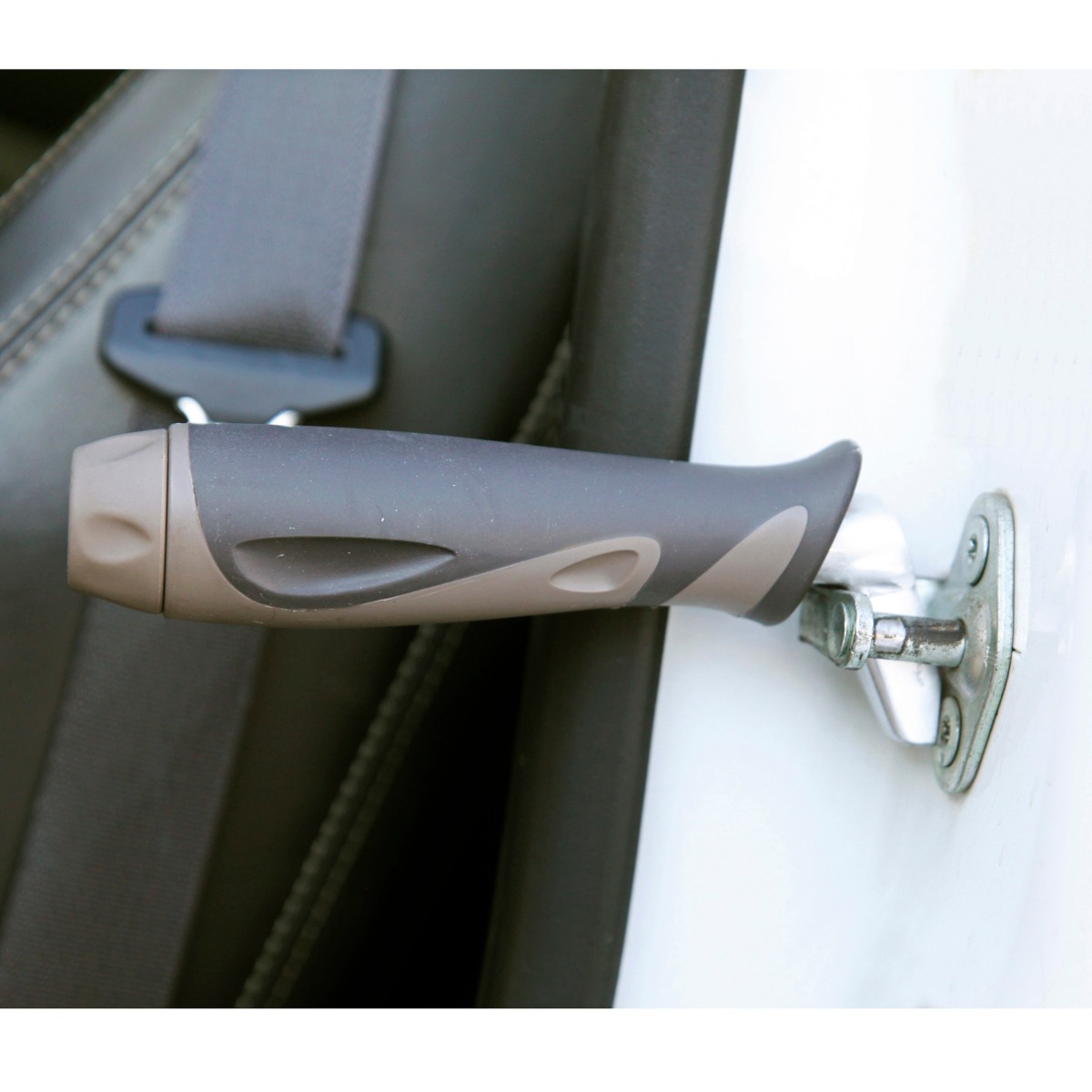 Example of GoVets Door Handles category