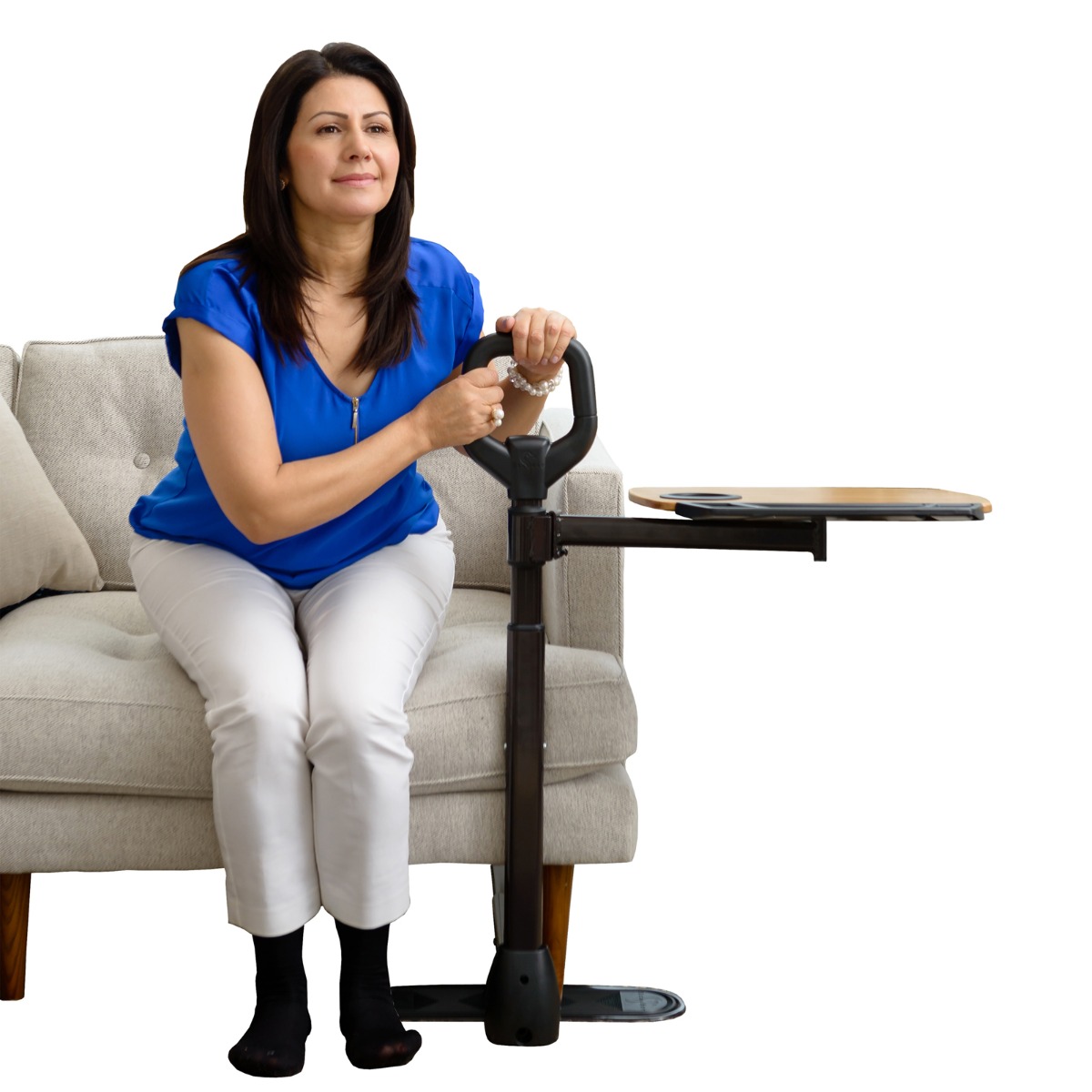 Example of GoVets Stander category