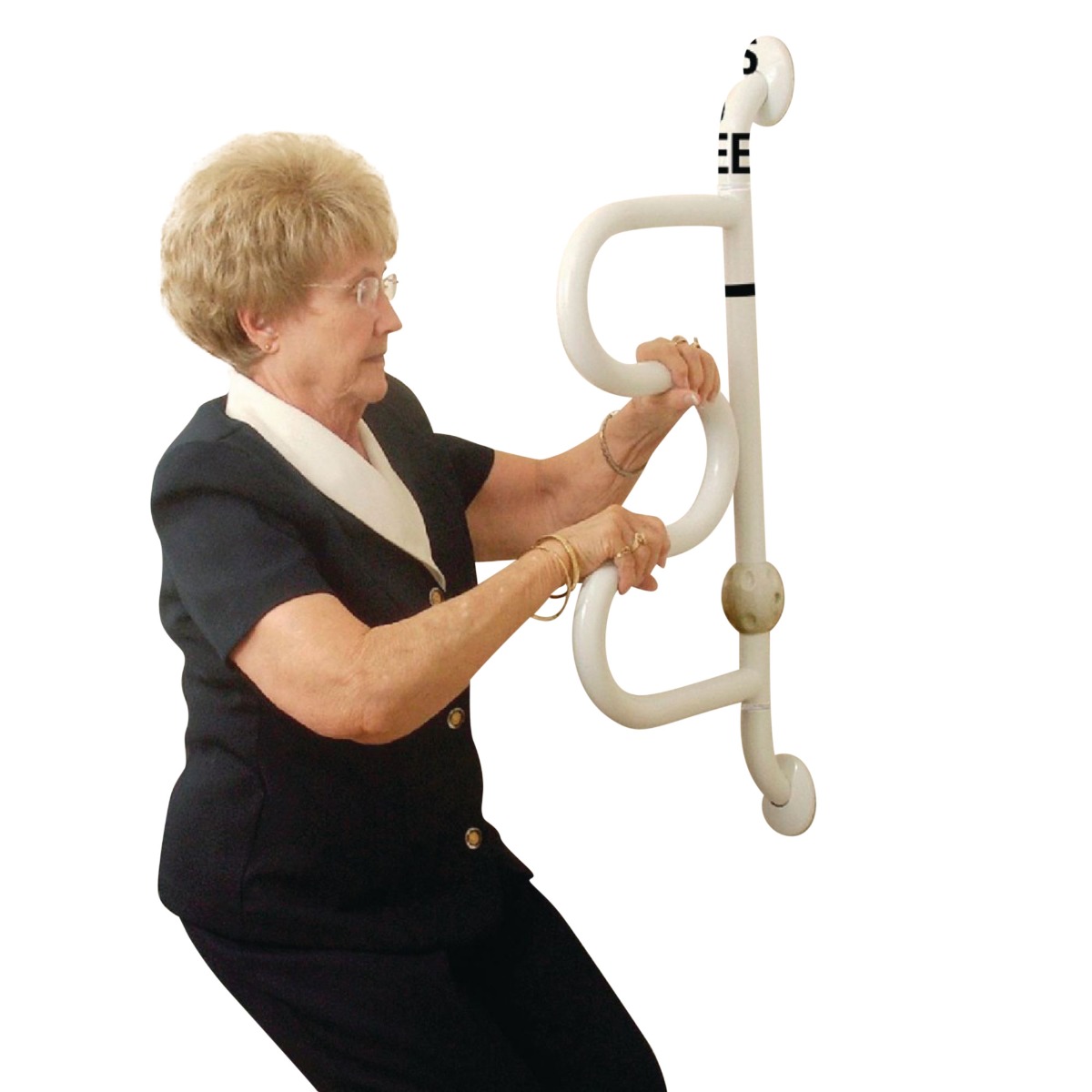 Example of GoVets Stander category