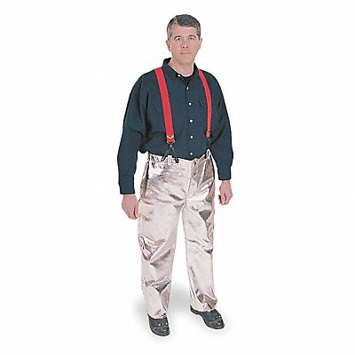 Example of GoVets Aluminized Pants category