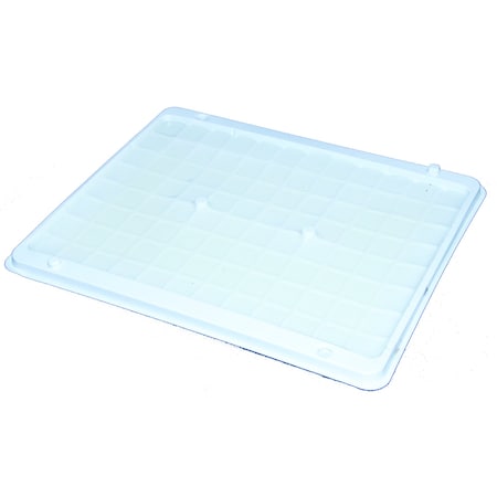 Glue Trap, Elephant Size, 10.5x12.25