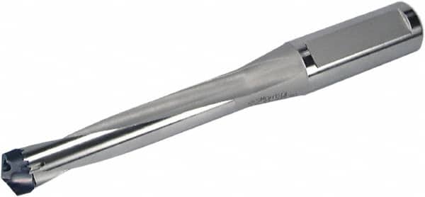 Replaceable-Tip Drill: 18.51 to 19.5 mm Dia, 4.212