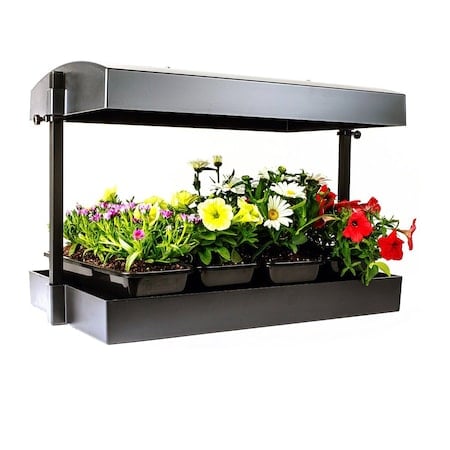 Growlight Garden, Black MPN:SL1600220