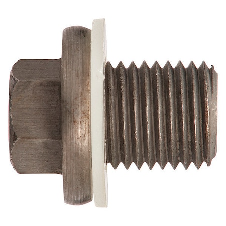 Oil Drain, 1-1/2