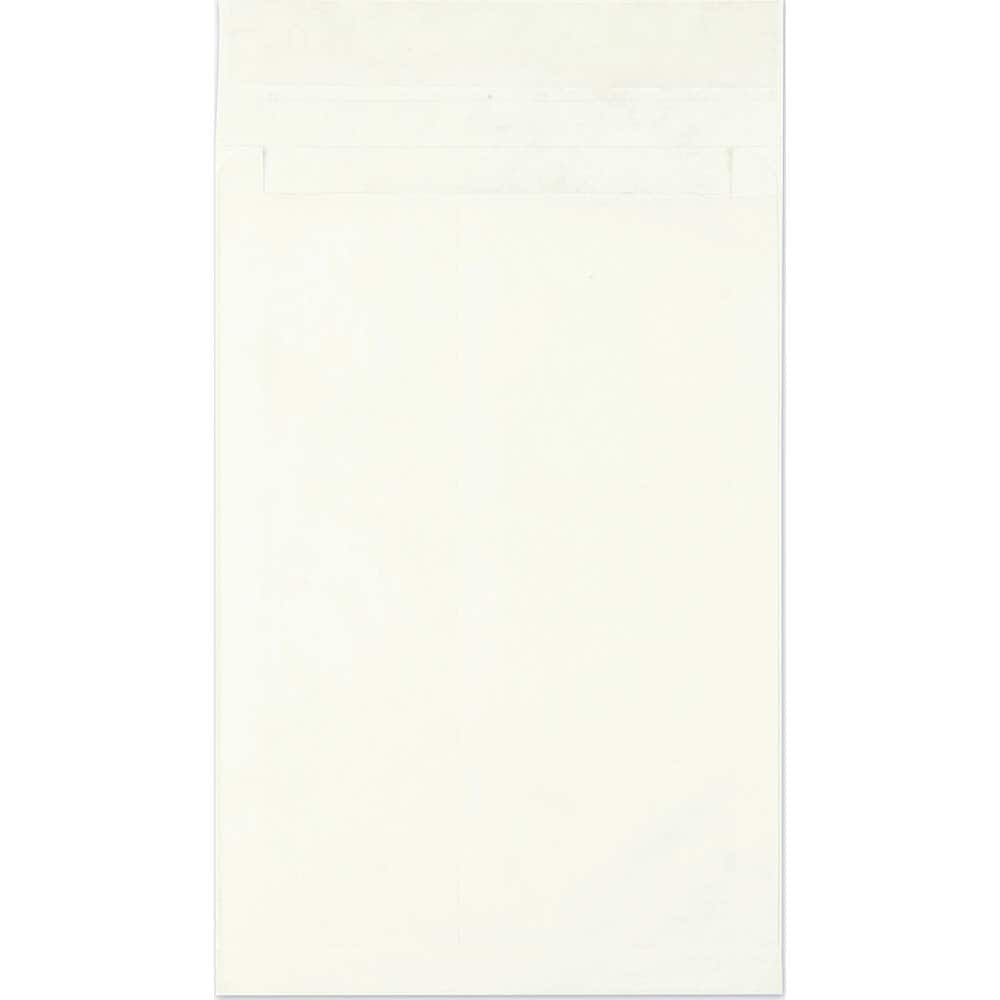 Tyvek Expansion Envelope Mailer: 16