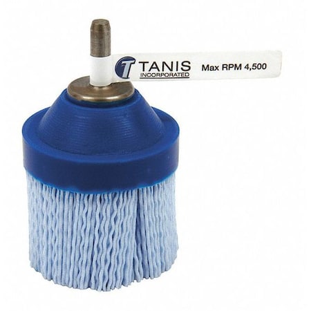 Brush, Abrasive, Nyl, 12