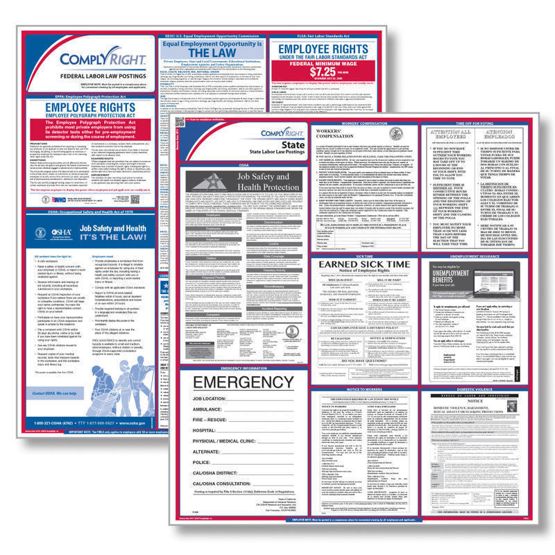 ComplyRight Federal And State Labor Law Poster Set, English, Wisconsin MPN:E25ODWI