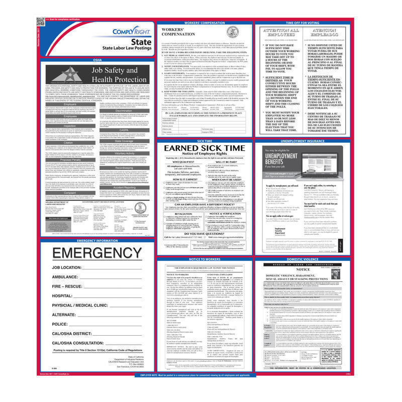 ComplyRight State Labor Law Poster, English, Delaware MPN:E10DE