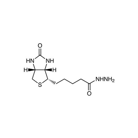 CAS No 66640-86-6 MPN:B2431-100MG